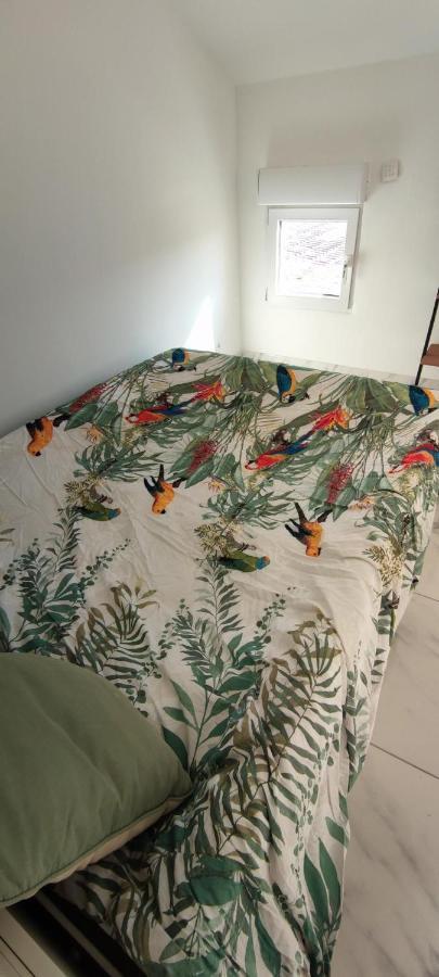 Appartement Au Coeur Des Rizieres ซาแลง-เดอ-ชิโรด์ ภายนอก รูปภาพ
