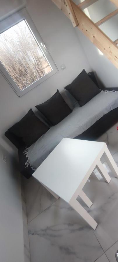 Appartement Au Coeur Des Rizieres ซาแลง-เดอ-ชิโรด์ ภายนอก รูปภาพ